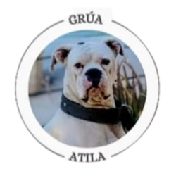 logo atila